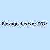 Elevage des Nez D'Or