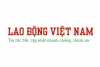 Lao động Việt Nam