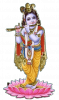 srikrishnaastrologer