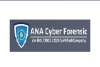 Ana Cyber