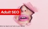 Google Adult SEO