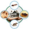 Pest Control Penrith