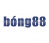 Codebong88