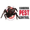 canberrapestcontrol499