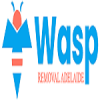 Wasp Removal Adelaide