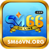 sm66vn.org