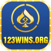 123wins.org