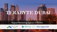 TeraByte - Web Designing  Company in Dubai