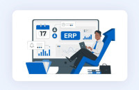 custom erp development