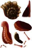 snail.png