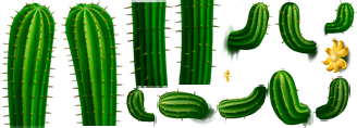 cactus.png