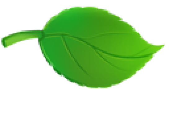 leaf.png