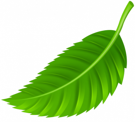 leaf.png