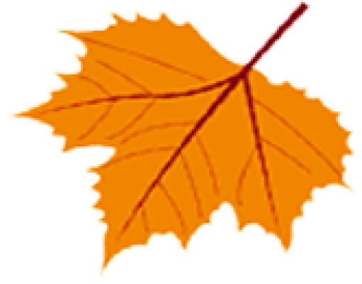 leaf2.png