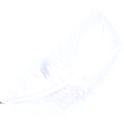 feather.png