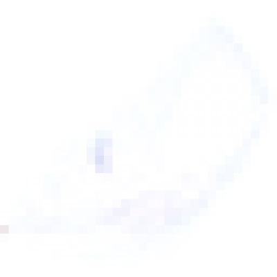 feather1.png