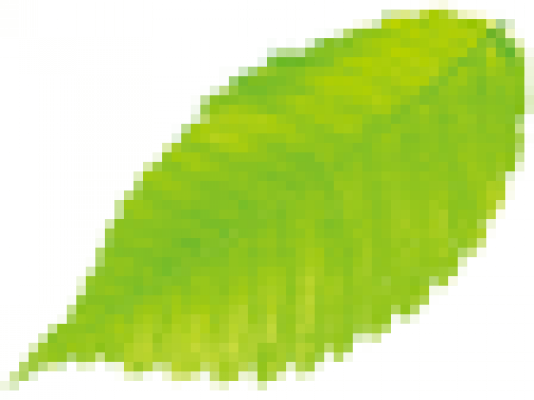 green.png