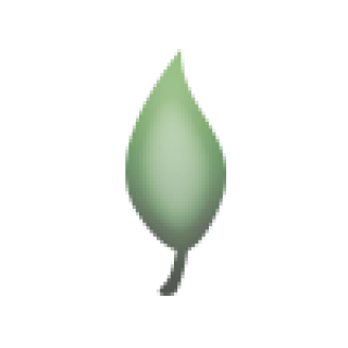 cover-leaf.png