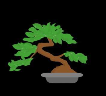 bonsai