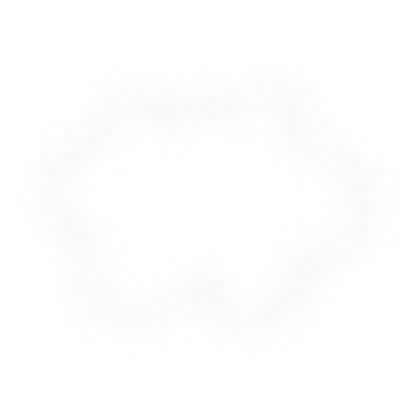 particle_texture (8).png