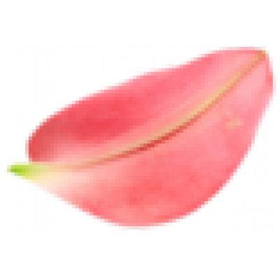 桃花0.png