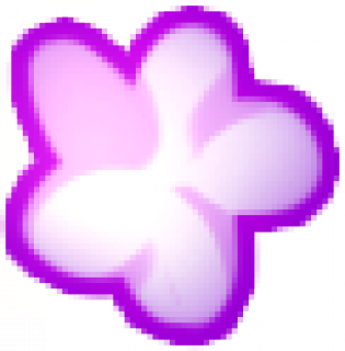 flowers.png