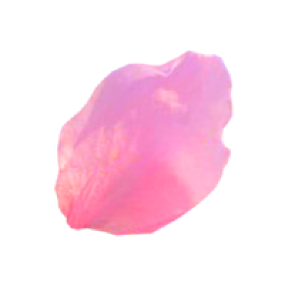 pinkFlower_a.png