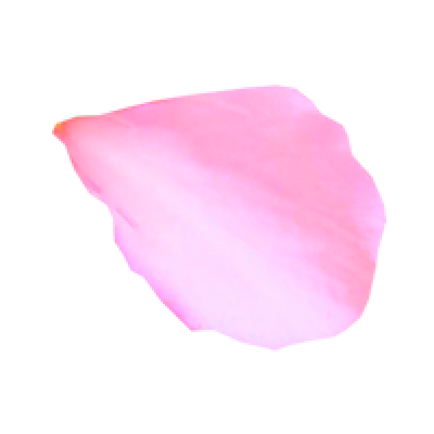 pinkFlower_c.png