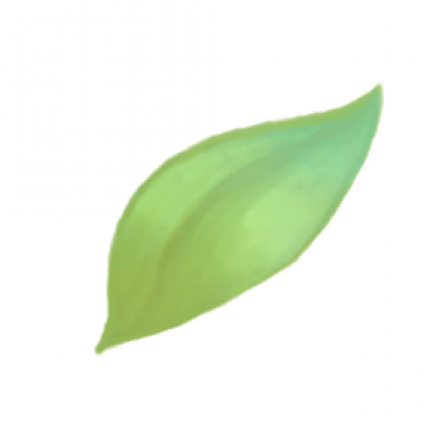 eye_fxl_leaf_002.png