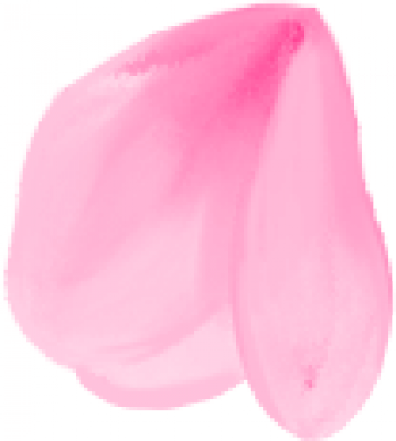 Flower2.png