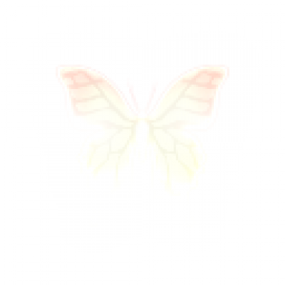 T_Papillons.png