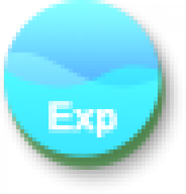 exp.png