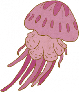 c2_p03_4fsm1.png