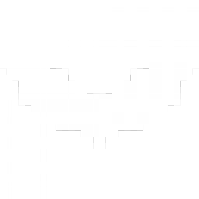 bat (1).png