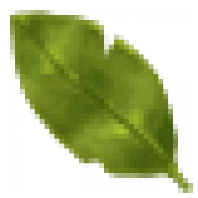 tex_0063_leaf.png