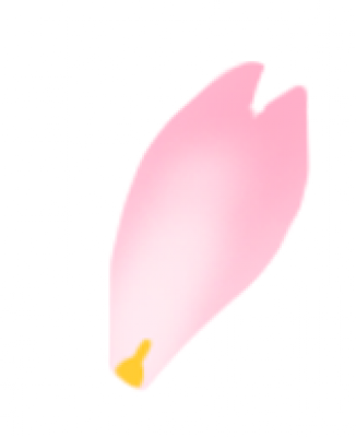 漂浮花瓣樱花粉色.png