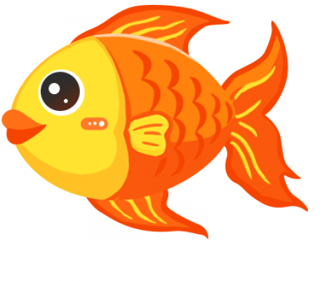 fish-01.png