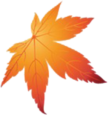 tbnn_niulose_leaf.png