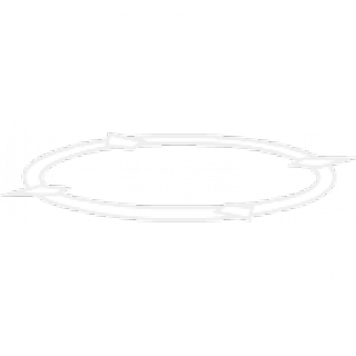 particle_ragnel_ring.png