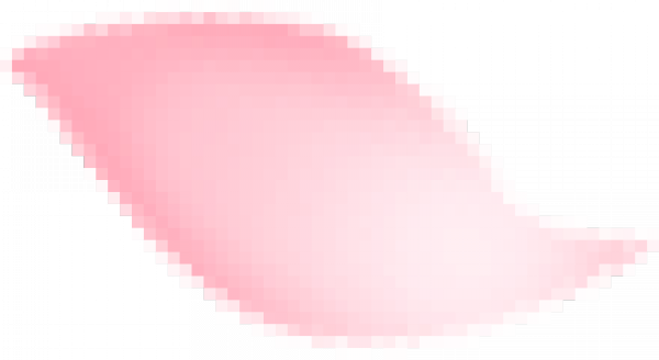 sakura (2).png