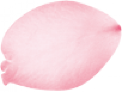 flower_1.png