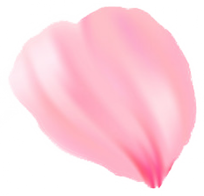 Flower_Petal_002.png