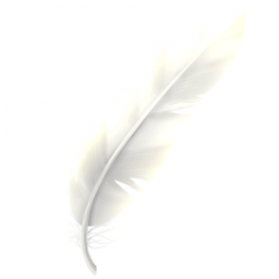 feather03.png