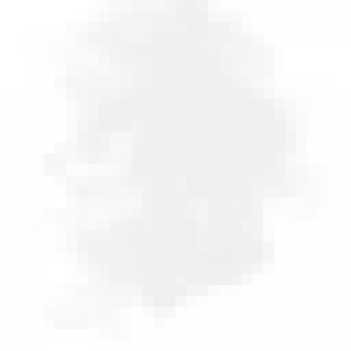 texture_smoke2.png