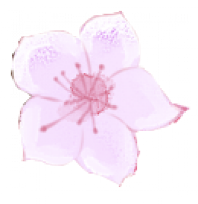 flower.png