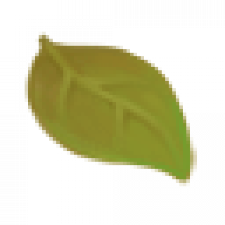 leaf.png