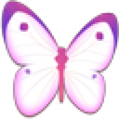 butterfly_p.png