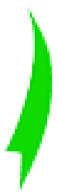 long_green.png