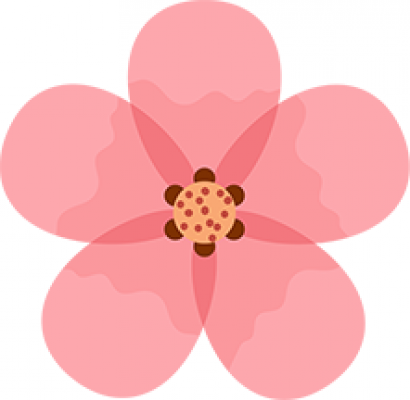 樱花.png