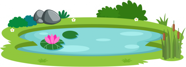 pool.png